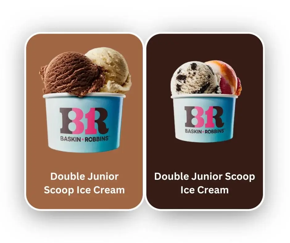 Double Junior Scoop Ice Cream, Double Regular Scoop Ice Cream at baskin robbin malaysia