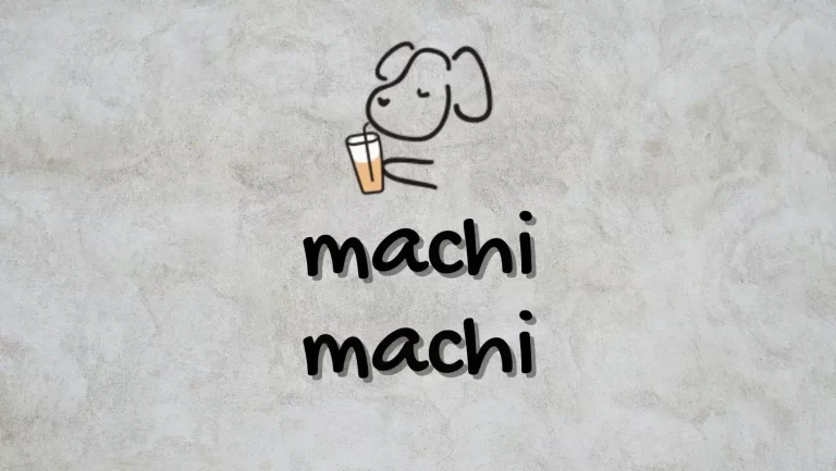 Machi Machi Menu, Prices and Review