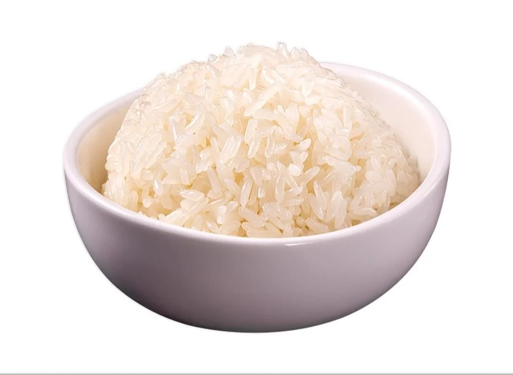 A Bowl of Rice 一碗米饭